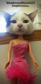 cat barbie